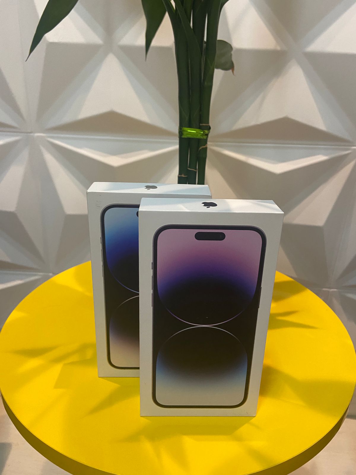 Entrega realizada 11