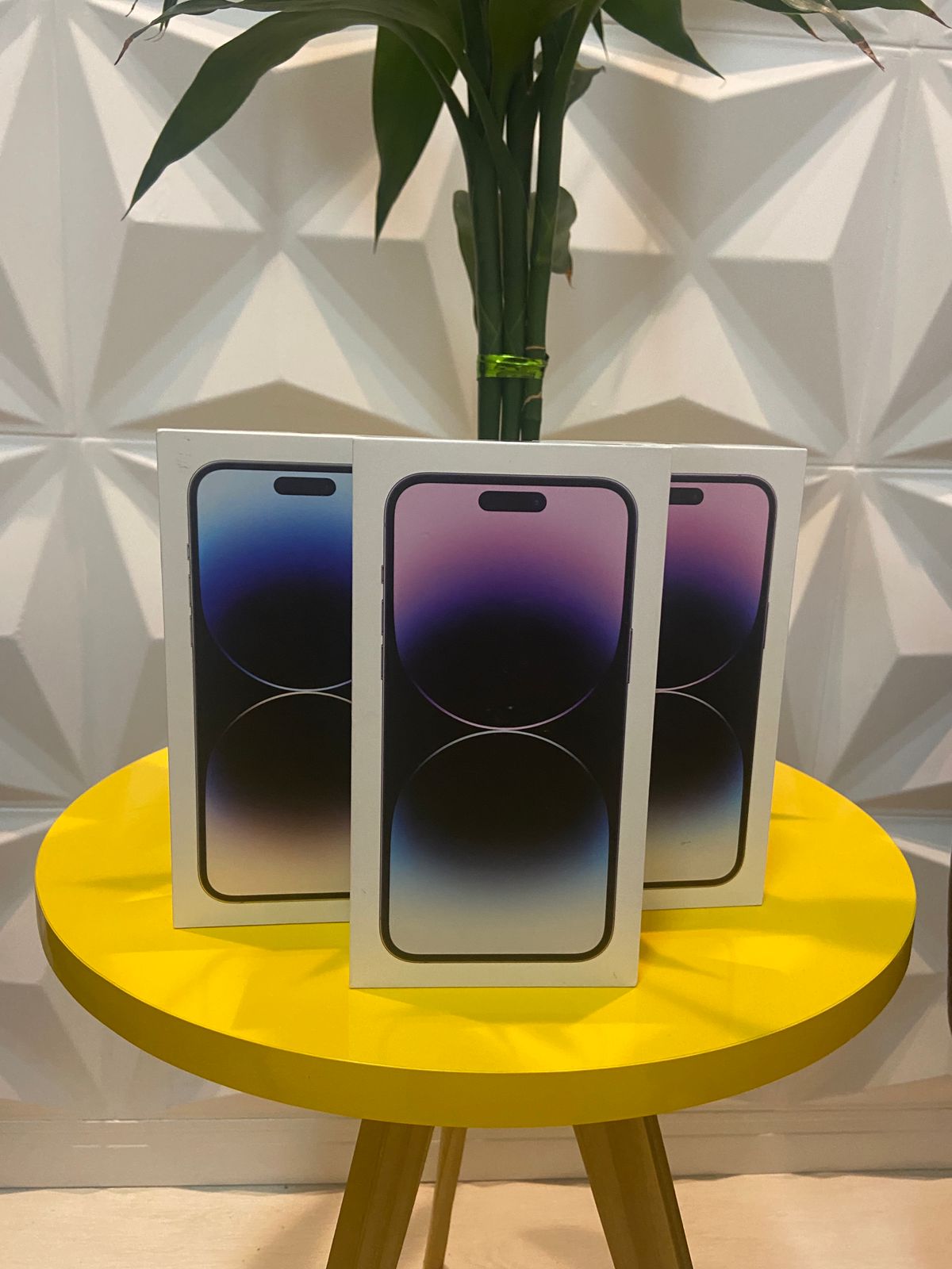 Entrega realizada 12