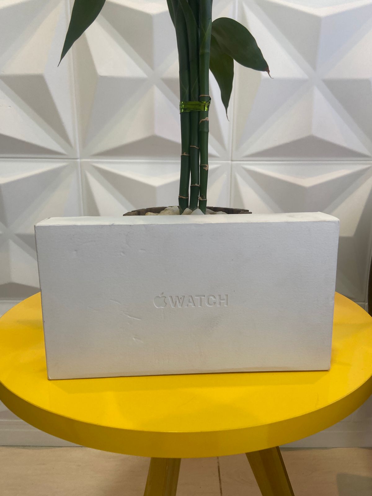 Entrega realizada 13