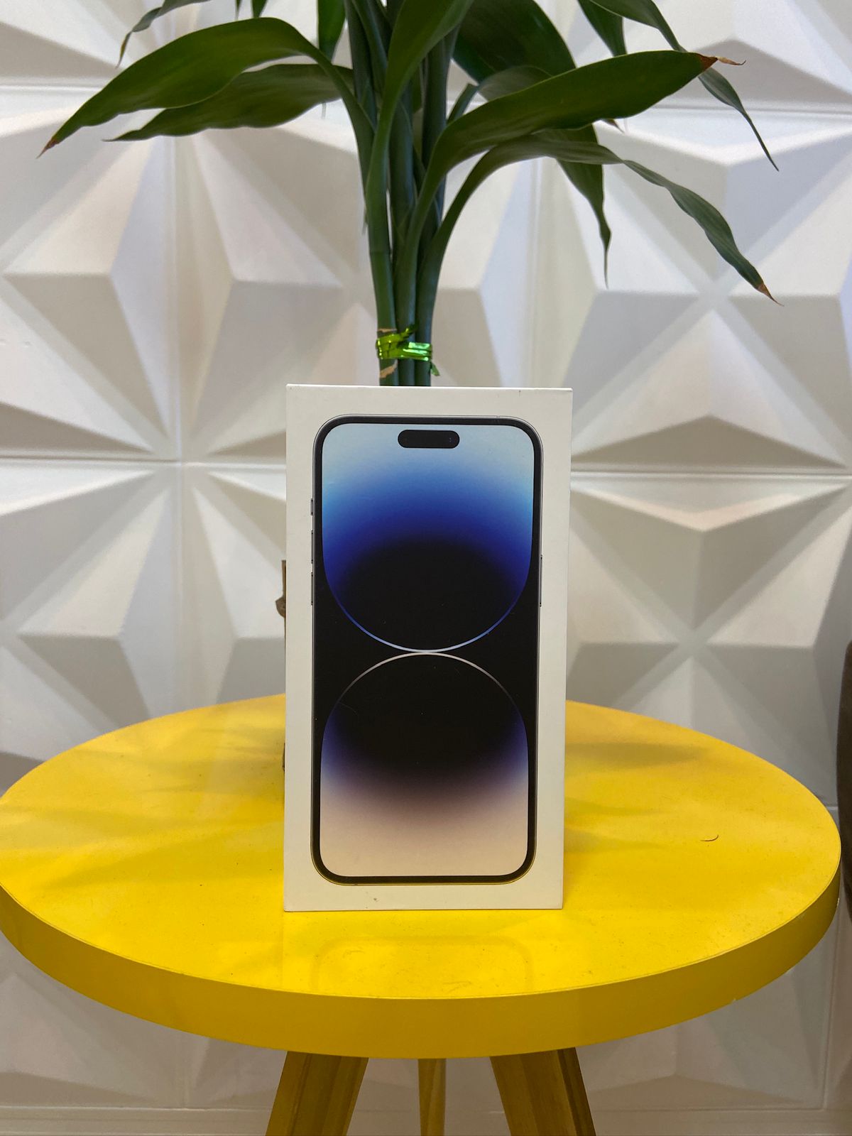 Entrega realizada 19