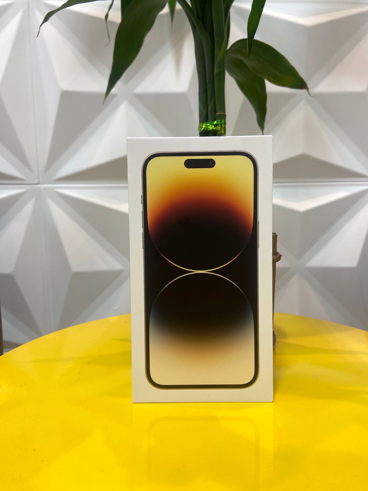 Entrega realizada 43