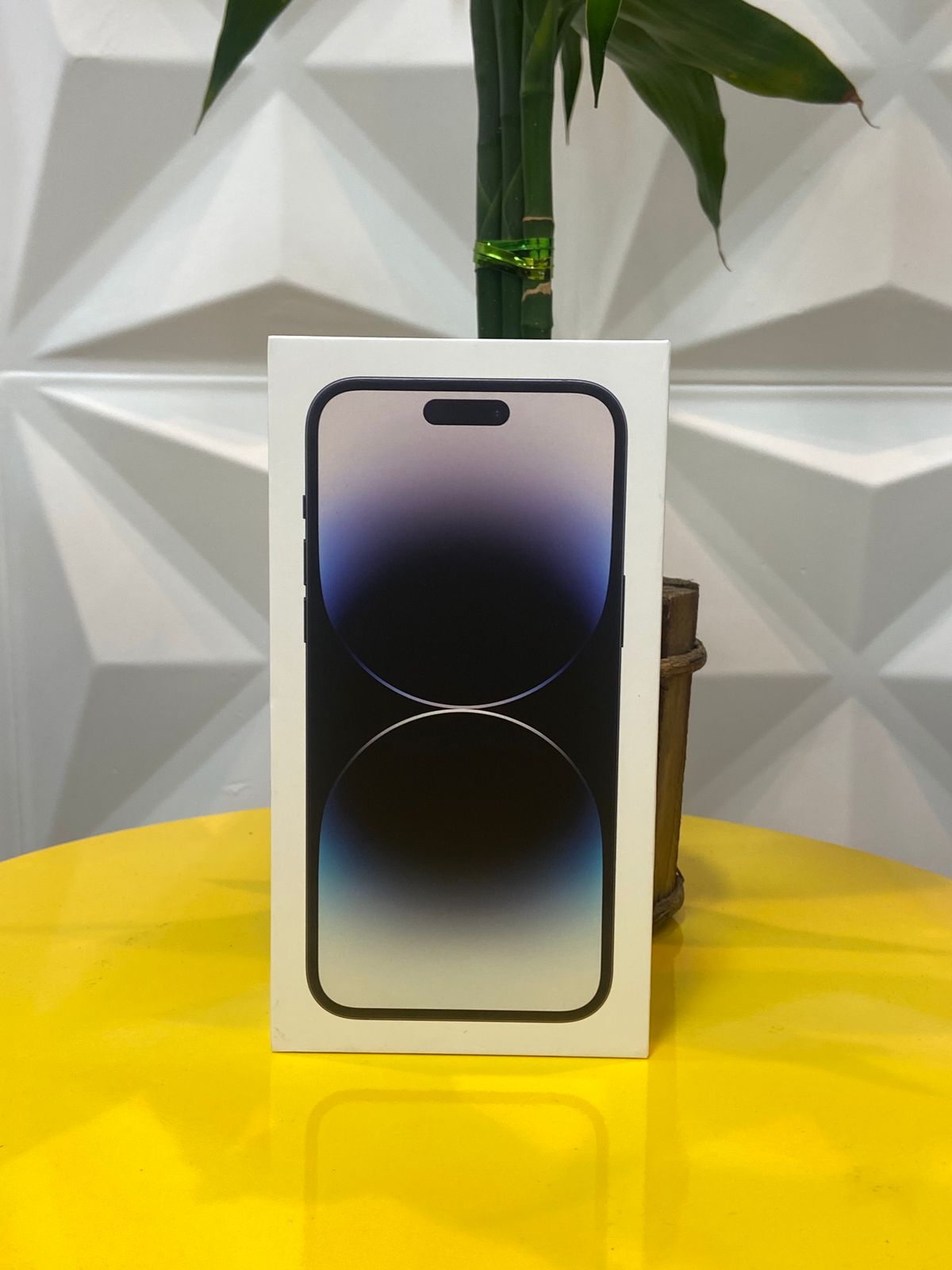 Entrega realizada 44