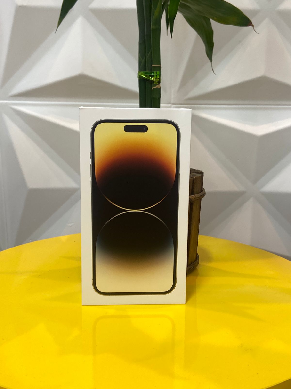 Entrega realizada 46